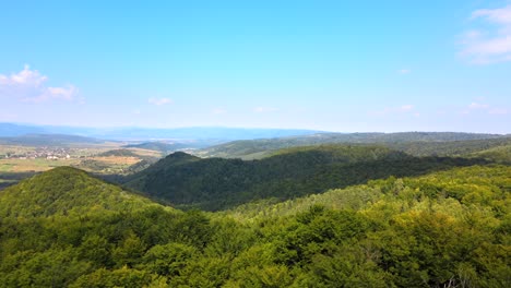 aerial view of mountain hills covered with dense green lush woods on bright summer day