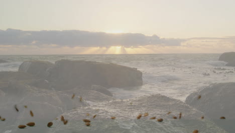 sun setting over ocean waves with floating leaves and rocks in foreground animation