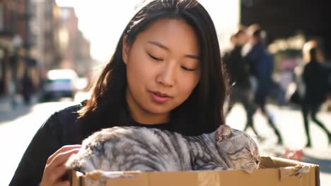 a woman gently pets her sleepy cat while they enjoy a beautiful day outside, creating a heartwarming connection amidst a bustling urban street scene