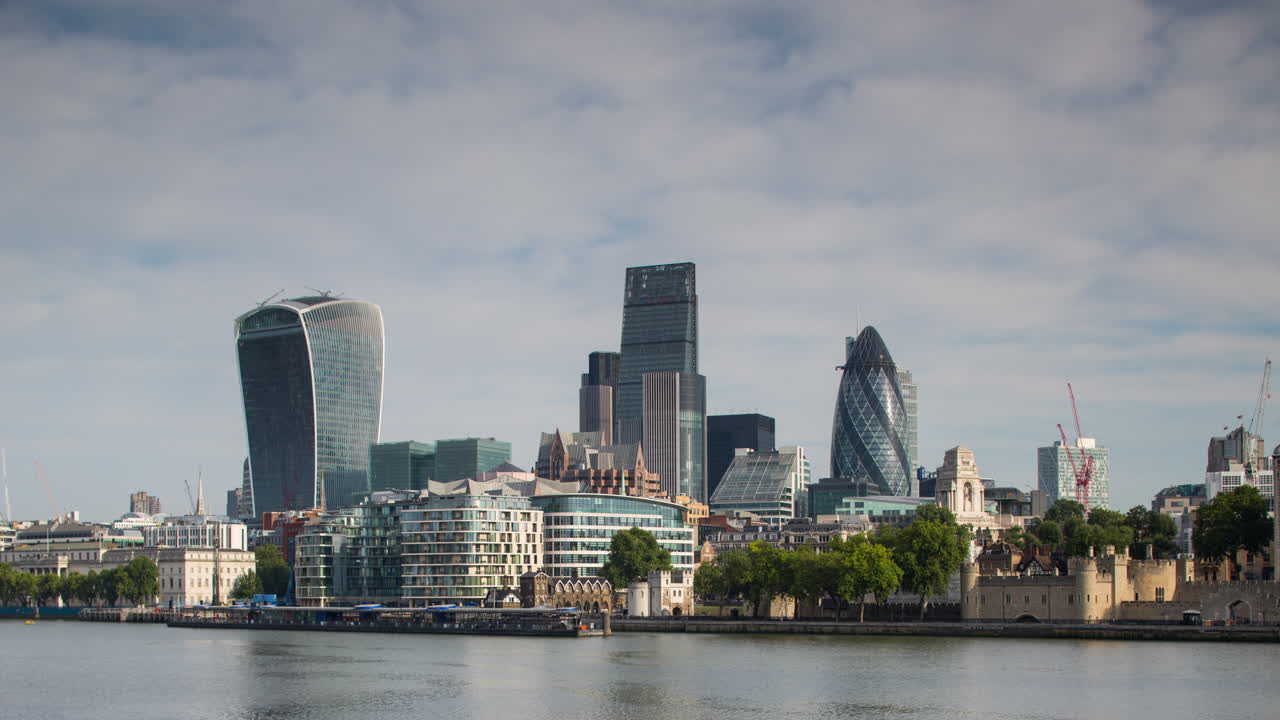 작은 오이 아침 4k 00