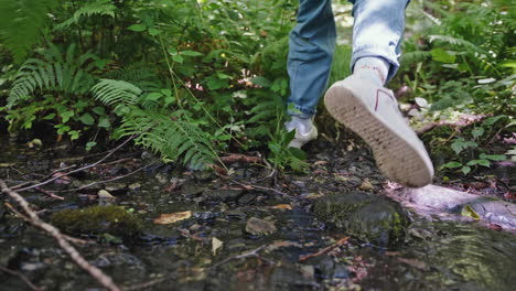 hiking through a forest stream