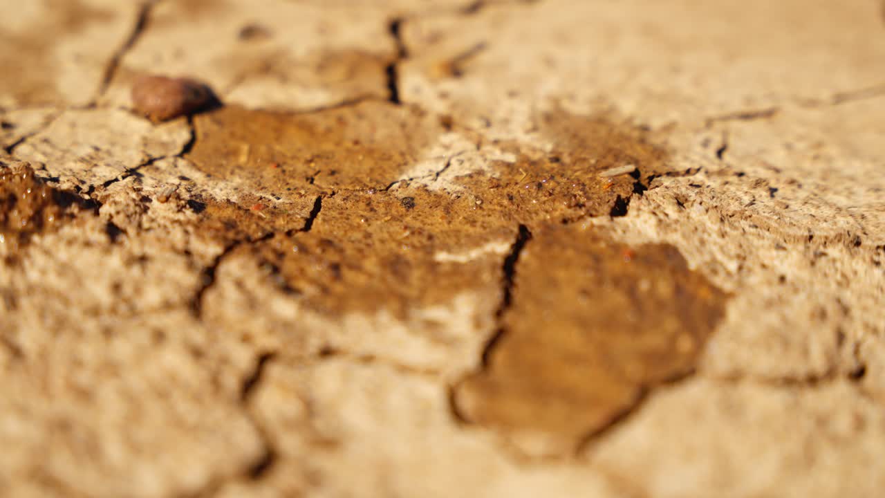 Dry cracked ground showing signs of drought, as water falls gently onto the parched surface