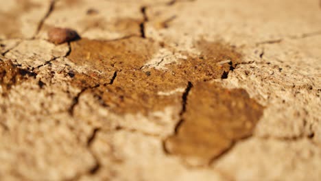 dry cracked ground showing signs of drought, as water falls gently onto the parched surface