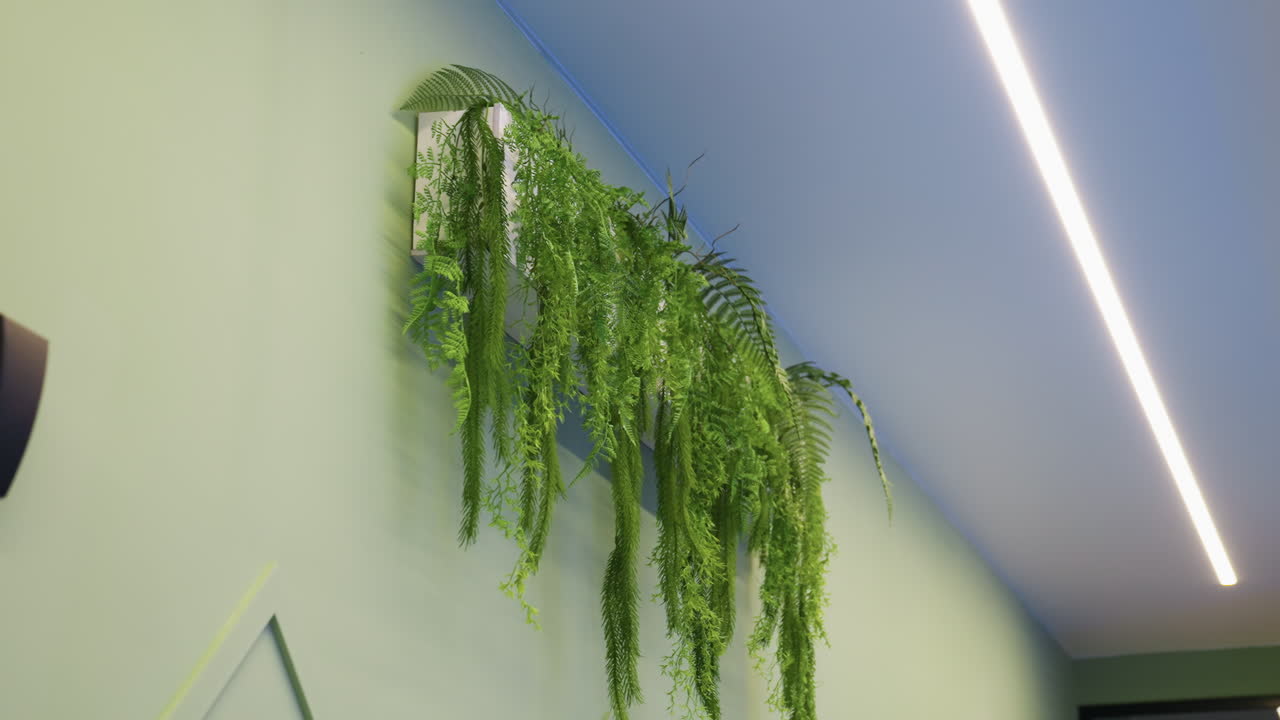 Beautiful view of artificial bush leaves hanging on wall under bright light, lush green texture, decorative indoor accent, soft shadows, serene minimal composition, modern mood and backdrop