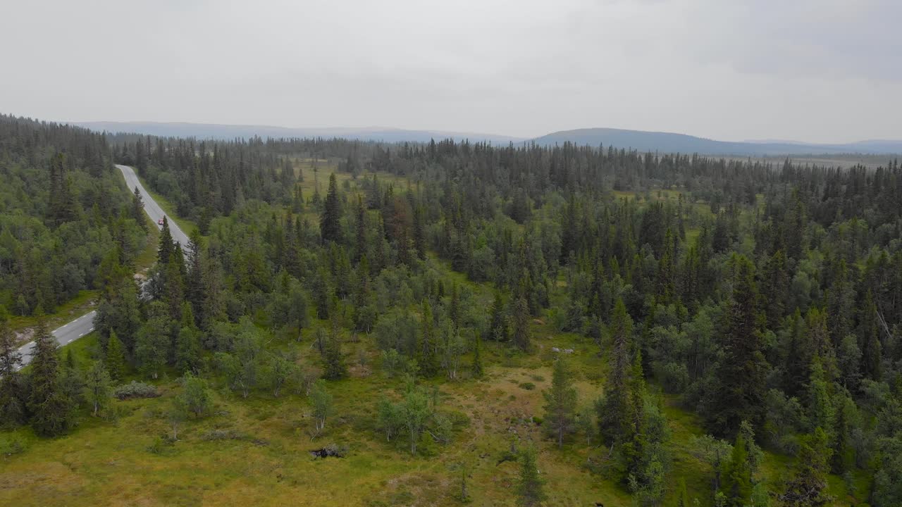 Asfaltsväg genom lummig skog och fjällandskap i Jämtland, Sverige