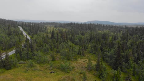 asphalt road through verdant forest and mountain landscape in jamtland, sweden