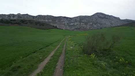 Aerial-drone-footage-captures-lush-valley-with-towering-mountain-backdrop-under-cloudy-skies-in-southern-Spain