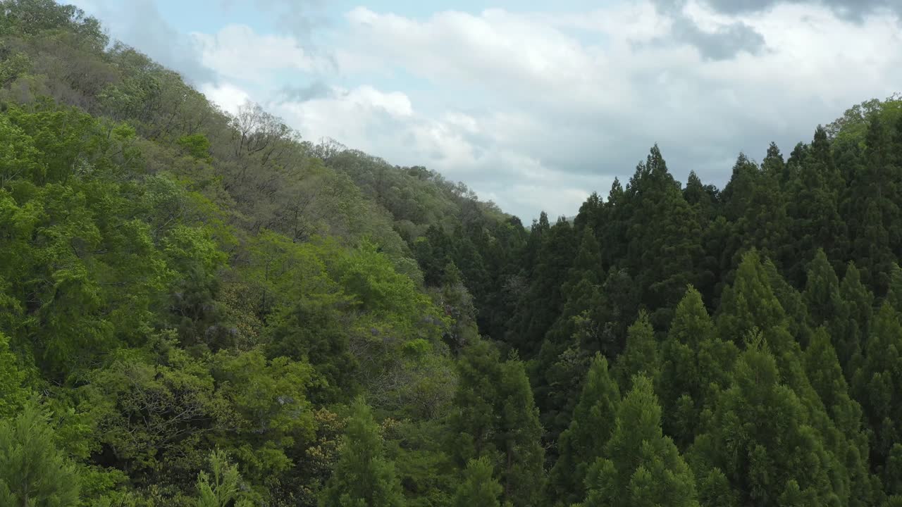 antena que se eleva sobre los árboles en la naturaleza de tottori, japón