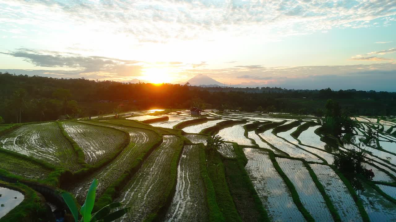 Aerial sunrise over Jatiluwih rice terraces in Bali, Indonesia, with morning mist and light, clouds reflect in water