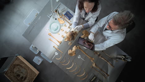 scientists examining human remains in a laboratory