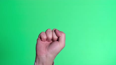 human hand gestures on a green screen