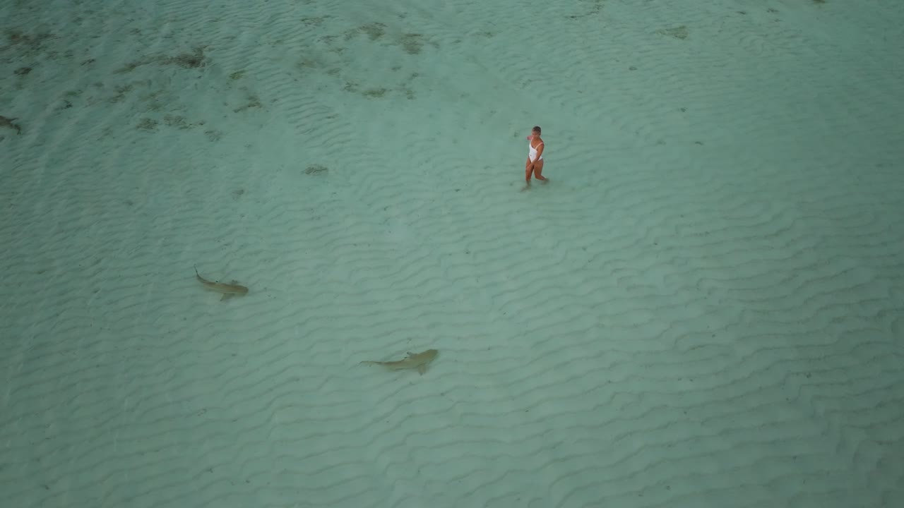 mujer en pánico por los asustados tiburones de arrecife de punta negra nadando en aguas poco profundas, miedo a los tiburones