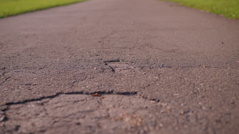 close-up of cracked, textured road surface with visible fissures and rough patches, leading towards a blurred background with green foliage