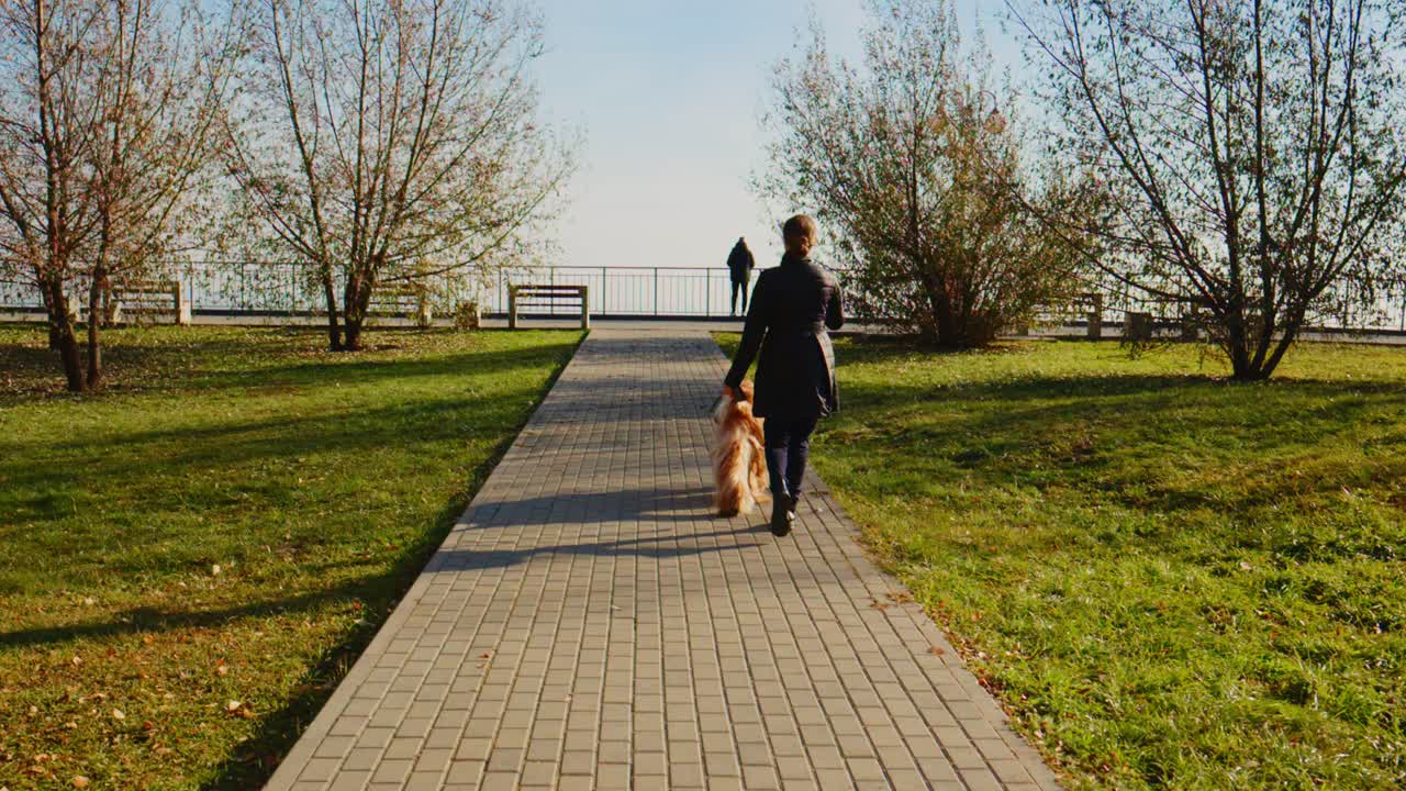 En person som rastar en golden retriever längs en stig omgiven av träd en solig dag, vilket framhäver glädjen i utomhusaktiviteter med husdjur
