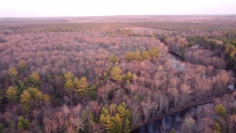 Hermoso-Paisaje-De-Bosque-Otoñal-De-Leota,-Michigan--pan-Aéreo