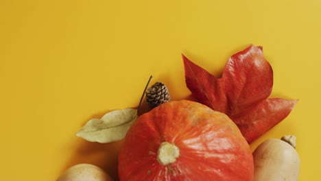 Video-Von-Kürbissen-Mit-Tannenzapfen-Und-Herbstblättern-Auf-Orangefarbenem-Hintergrund