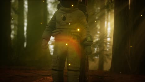 lonely-Astronaut-in-dark-forest