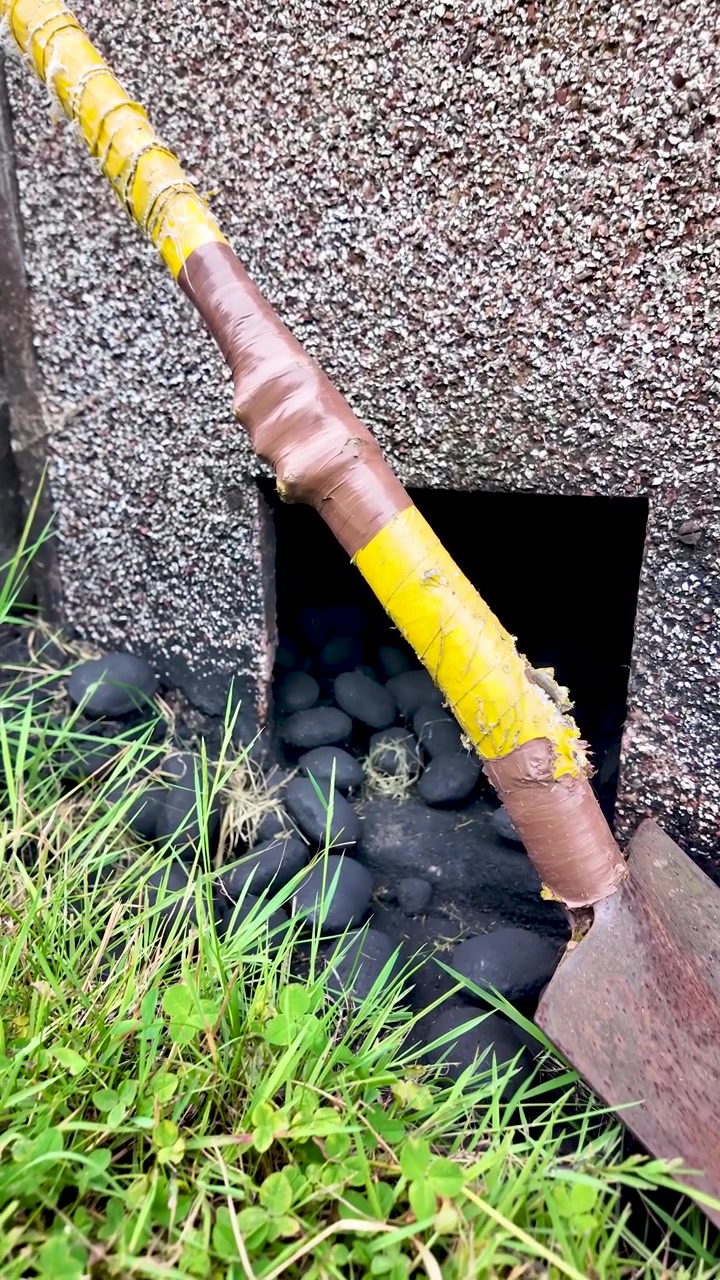 Pala de mano con mango encintado apoyada junto a una trampilla de carbón de jardín llena de briquetas oscuras, al lado de césped verde. Video vertical.