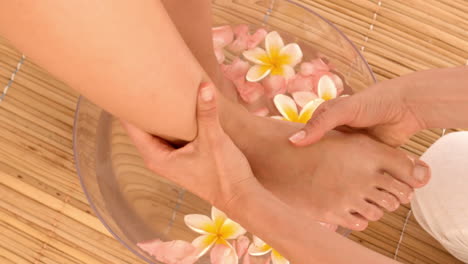 woman having feet massage