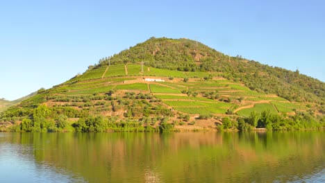 the douro wine region valley with terraced vineyards in porto, portugal