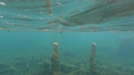 el agua clara revela el paisaje submarino y sus alrededores.