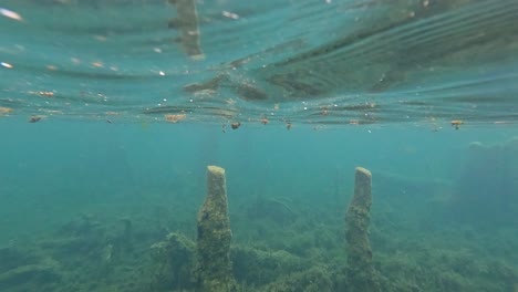 clear water reveals underwater landscape and surroundings