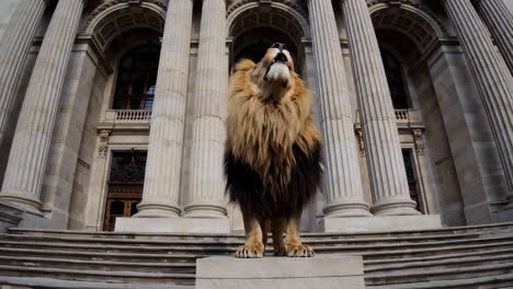 lion statue in front of a grand building