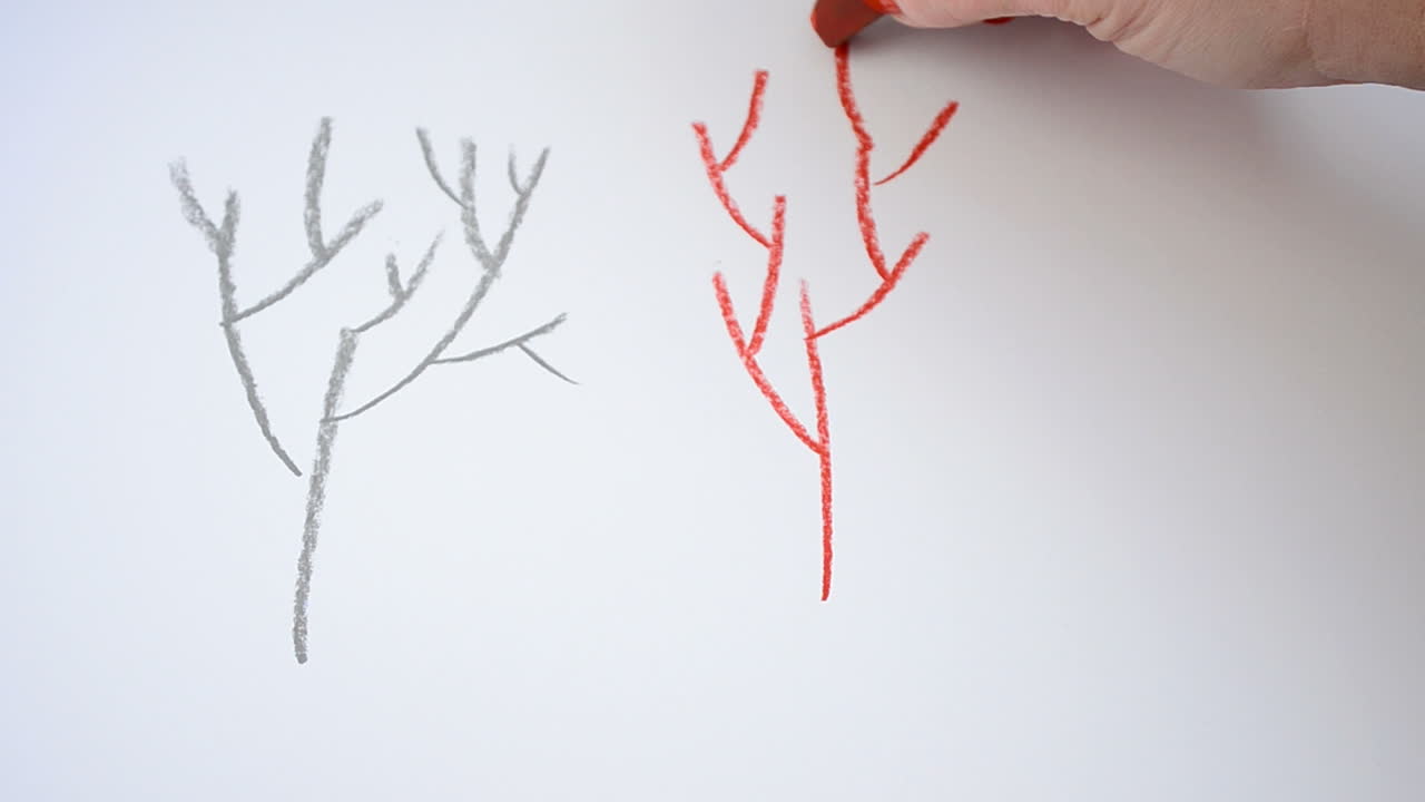 We draw trees. Drawing process