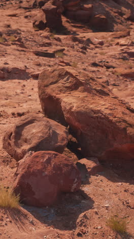 red rocks in the arizona desert