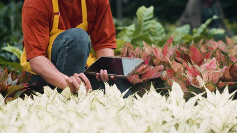 jardinero que trabaja en interiores