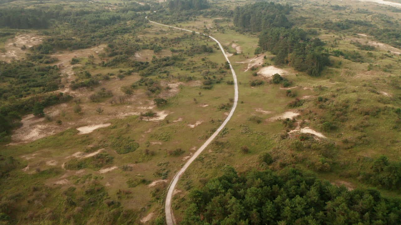 largo sendero en medio de la naturaleza en el parque nacional zuid-kennemerland en holanda del norte, países bajos
