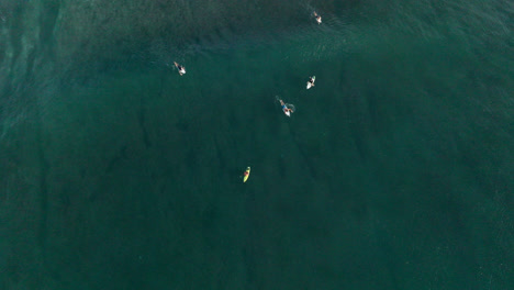 surfistas remando y esperando una ola en bali