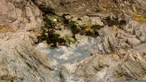 disparo angular de una piscina de rocas con algas marinas