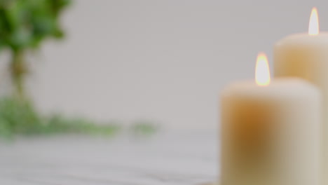 Still-Life-Of-Lit-Candles-With-Green-Leaved-Plant-On-Bright-Background-As-Part-Of-Relaxing-Spa-Day-Decor-With-Focus-Pull