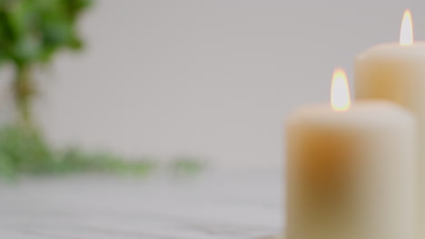 still life of lit candles with green leaved plant on bright background as part of relaxing spa day decor with focus pull