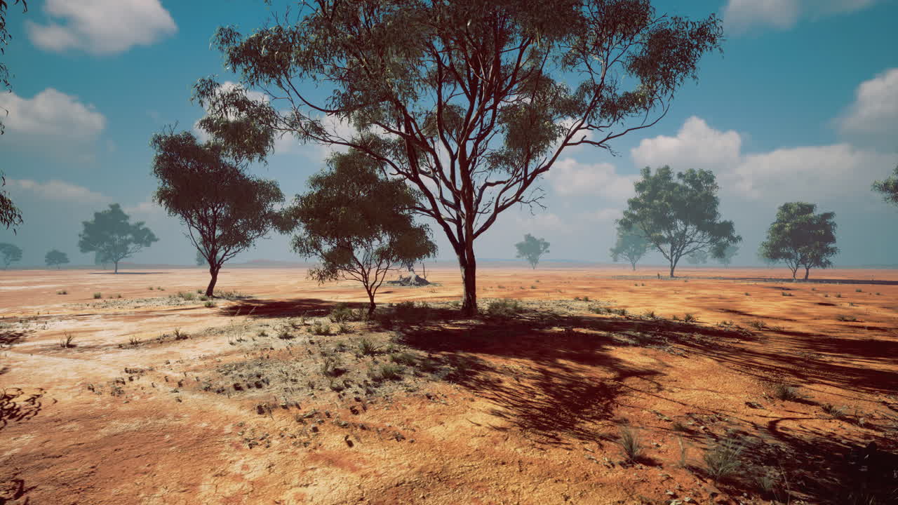 낮에는 은 하늘 아래 산란한 나무가 있는 건조한 풍경