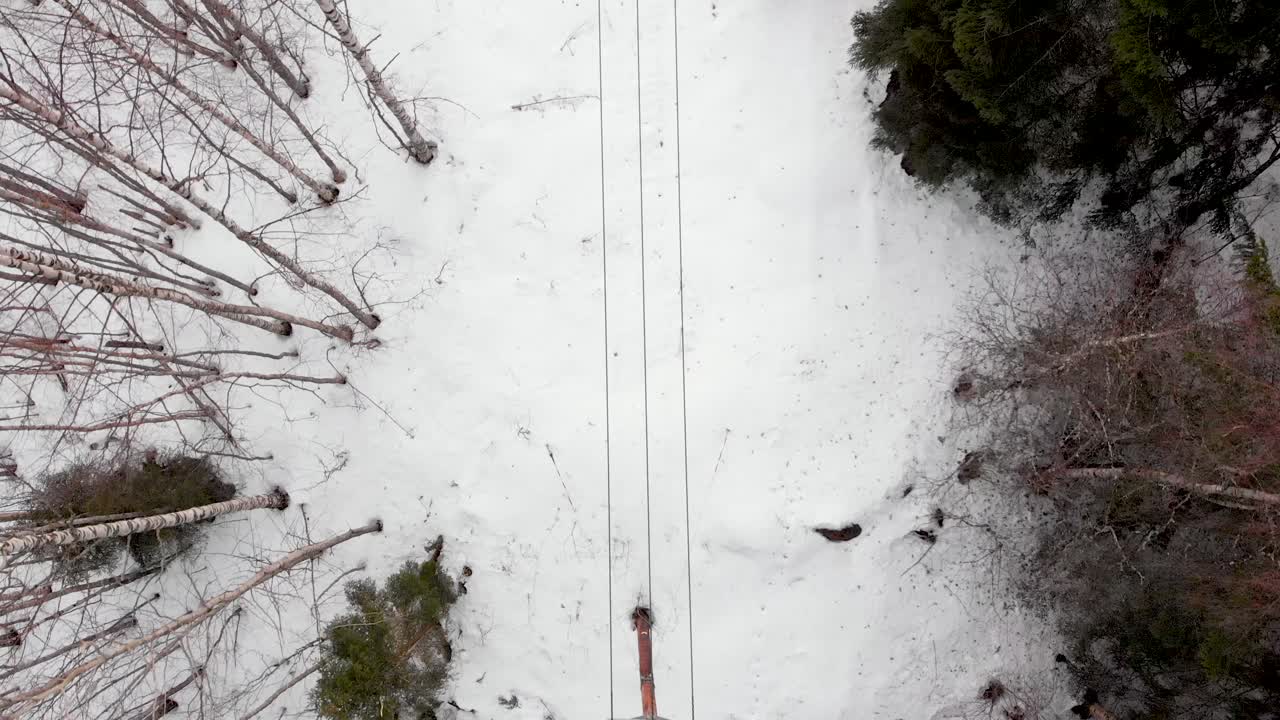 Drone shot following power lines through forest pointing down
