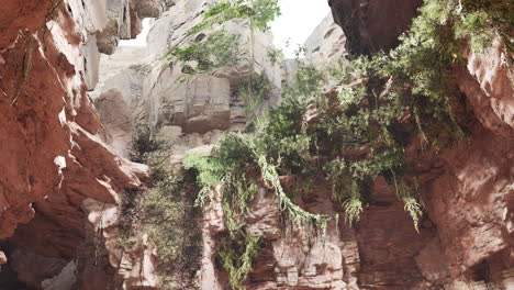 inside a limestone cave with plants and sun shine