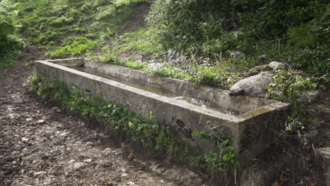 Perro-Pastor-Alemán-Saltando-De-La-Cuenca-Del-Agua---Tiro-Estático