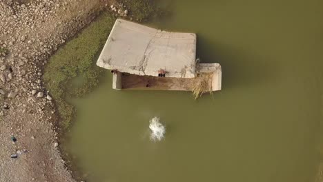 Kids-jumping-in-the-water-in-the-south-of-morocco