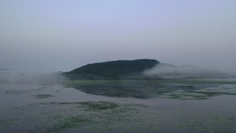 mañana brumosa sobre el lago y el bosque