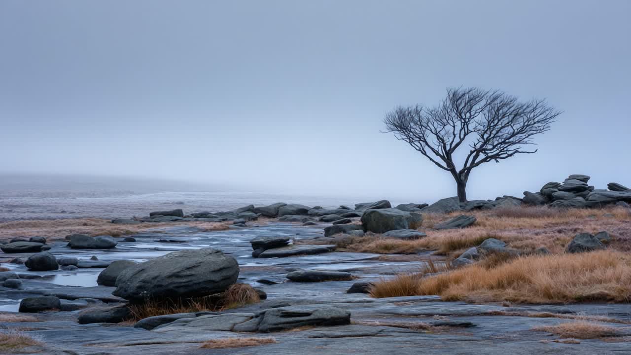 Et fredfyldt tusmørkelandskab: Tågefyldte klipper og et ensomt træ står modstandsdygtigt mod elementerne i en rolig naturscene.