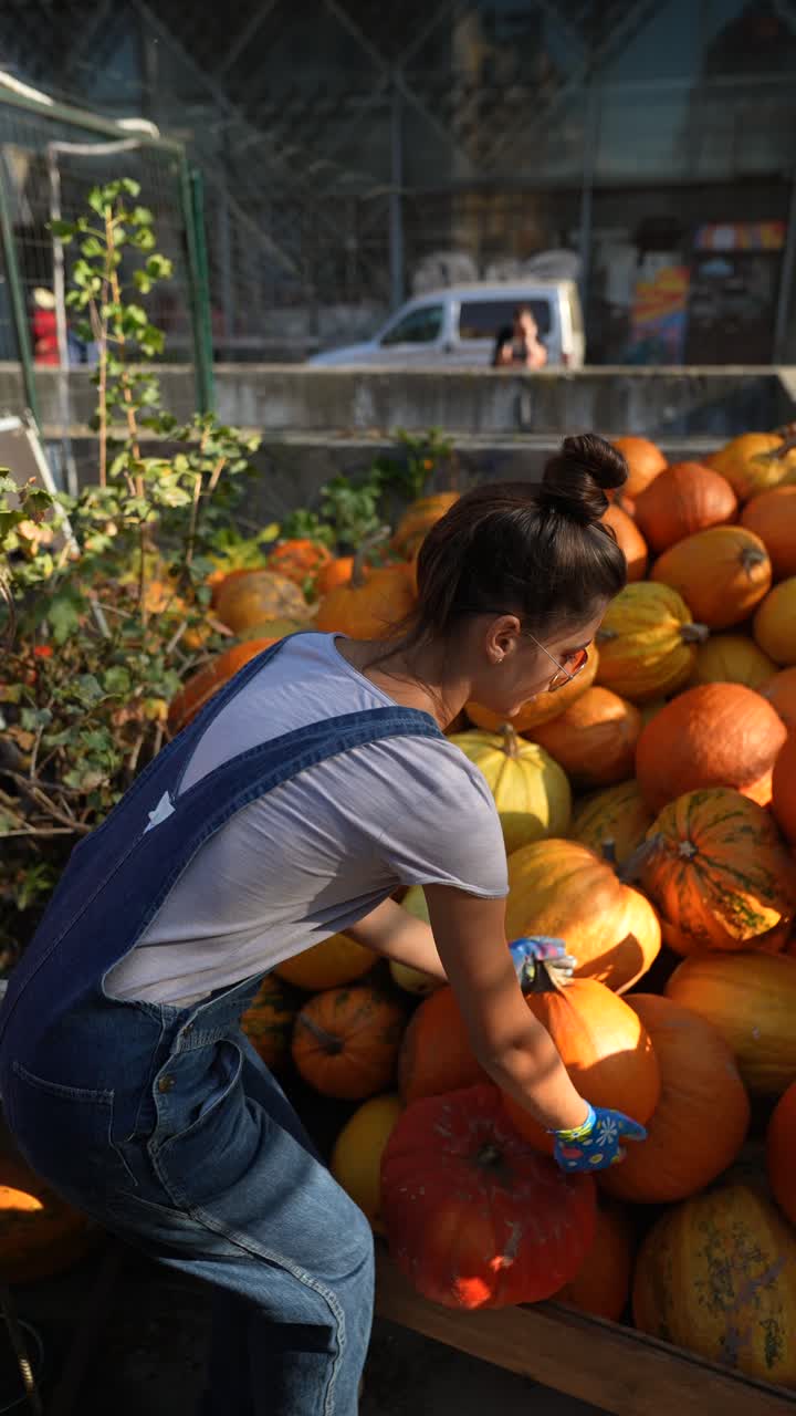 호박 을 뽑는 여자