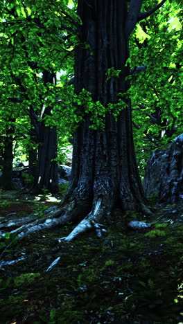 dark forest scene with lush green trees