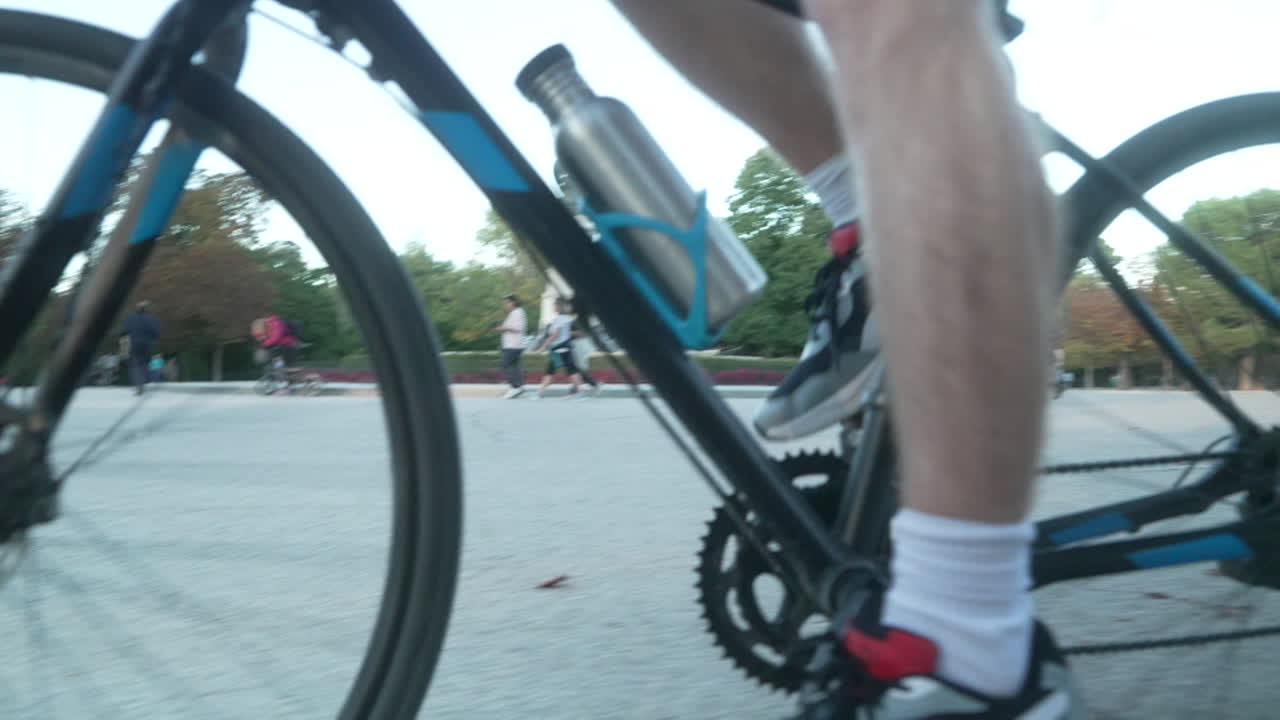 Person Cycling in a Park