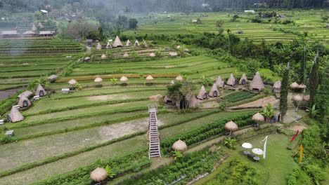 Ecotourism-and-Traditional-huts-glamping-amid-green-scenery-in-Maha-Gangga,-Bali