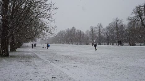 在英國公園環境中,人們穿過沉重的降雪