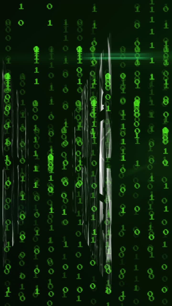 Animation of networks, binary coding and data processing