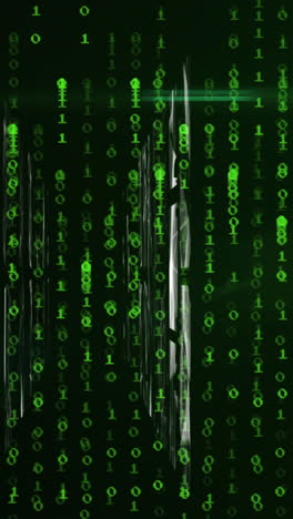 animación de redes, codificación binaria y procesamiento de datos