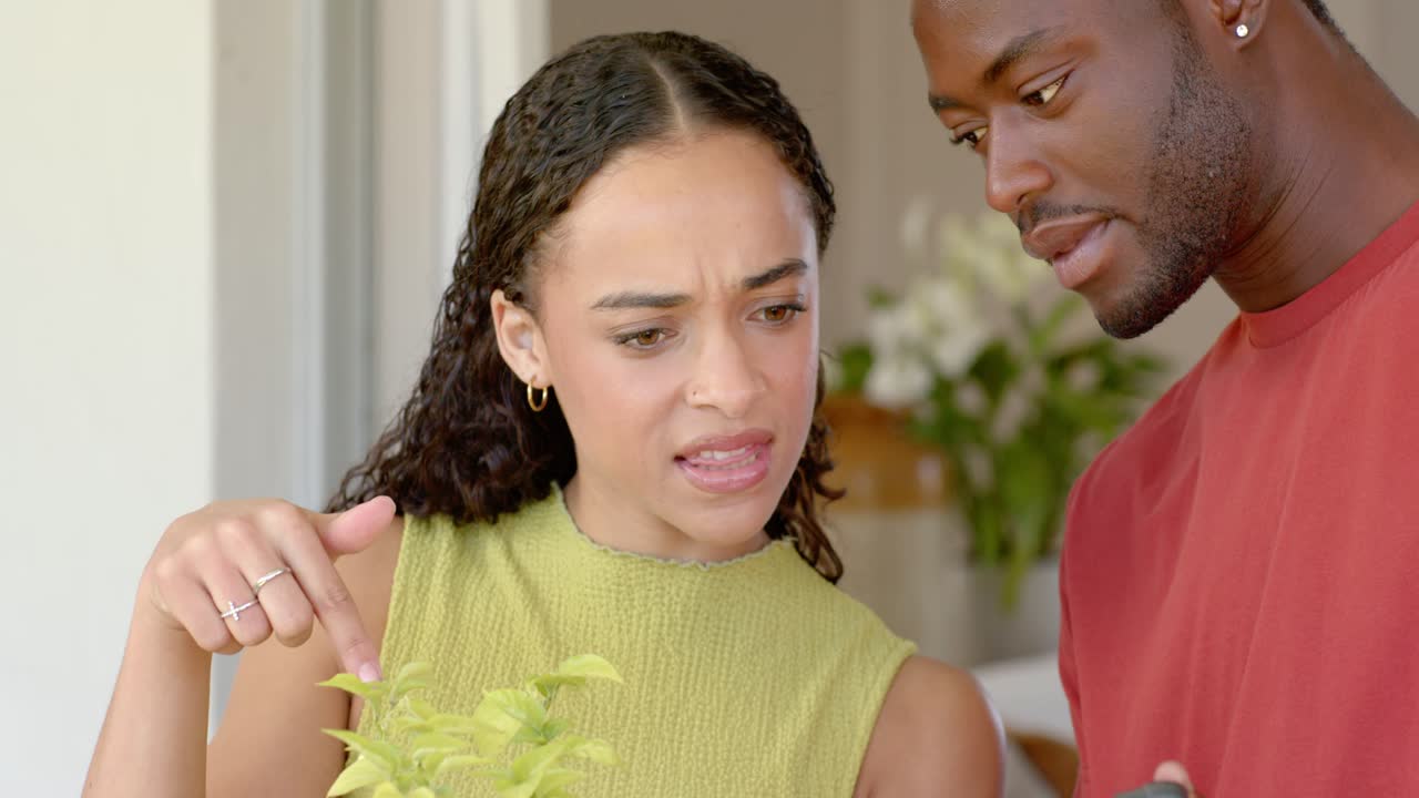 African American couple at home using tablet, woman tapping, pointing at seedlings, checking health